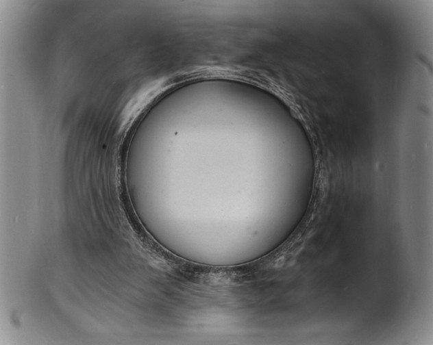 X0000102220103200808081325