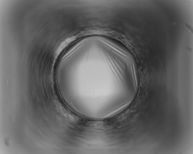 X0000102220104200808081325