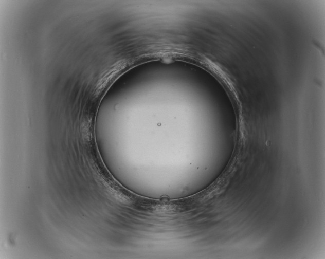 X0000102220105200808081325