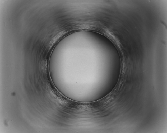 X0000102220107200808081325