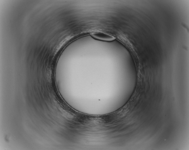 X0000102220108200808081325