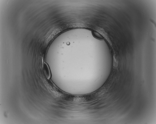 X0000102220109200808081325