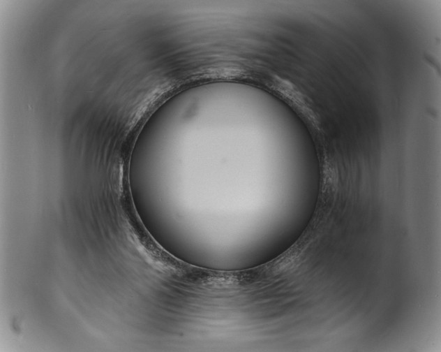 X0000102220110200808081325