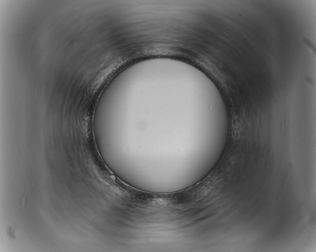 X0000102220111200808081325