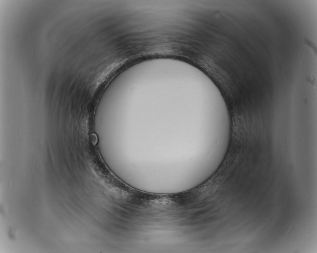 X0000102220112200808081325