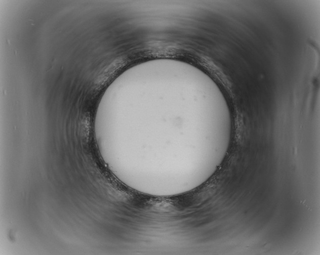 X0000102220113200808081325