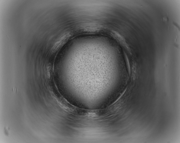 X0000102220114200808081325