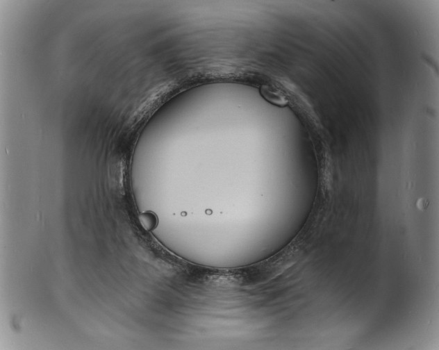 X0000102220115200808081325