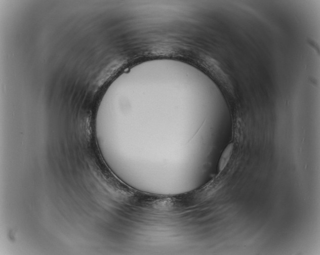 X0000102220116200808081325