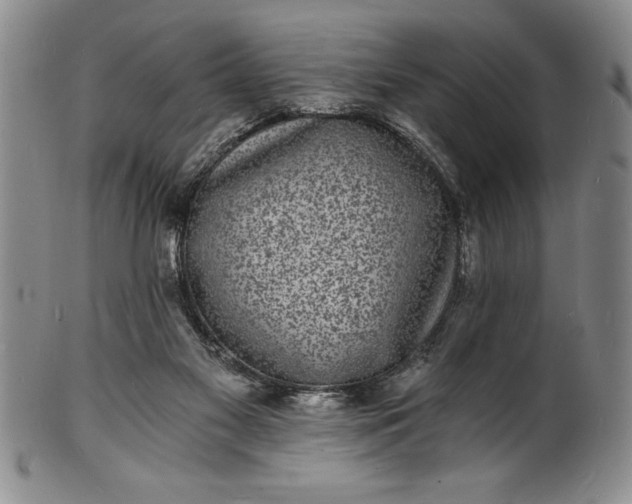 X0000102220117200808081325