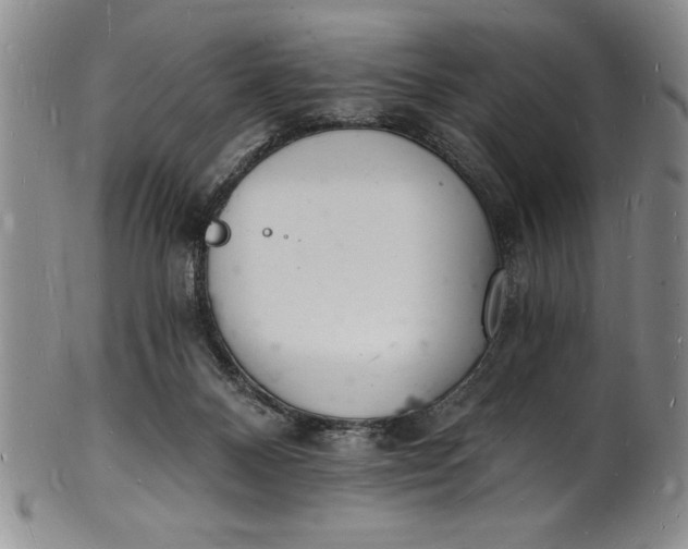 X0000102220120200808081325