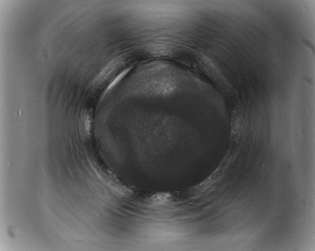 X0000102220124200808081325