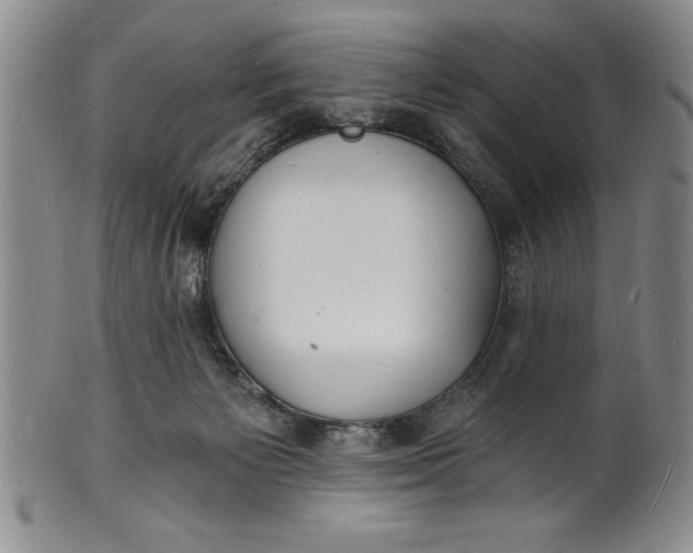 X0000102220125200808081325