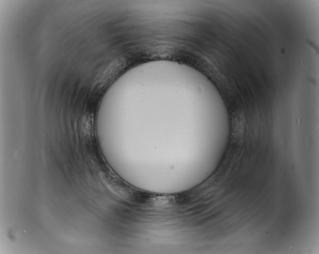 X0000102220126200808081325