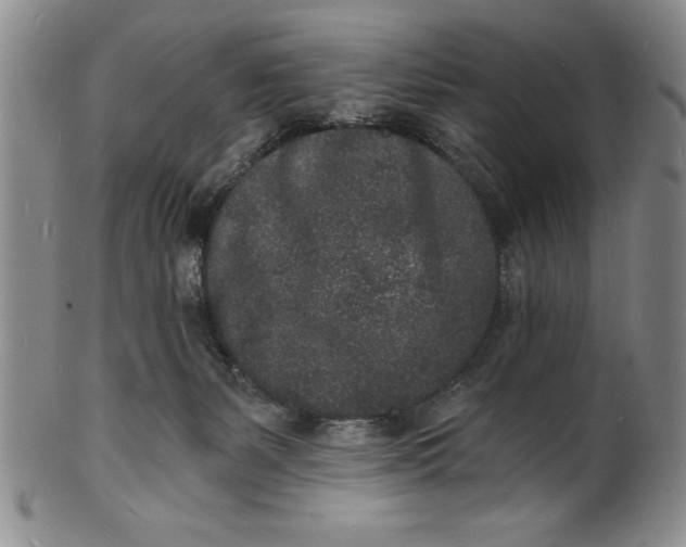 X0000102220127200808081325