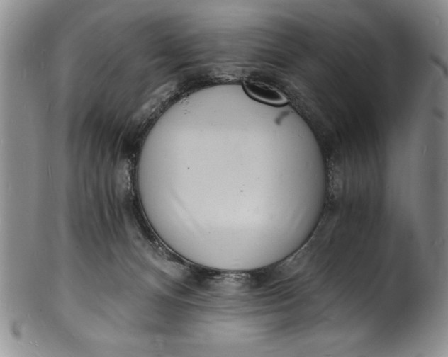 X0000102220128200808081325