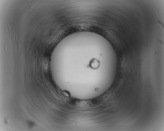 X0000102220129200808081325