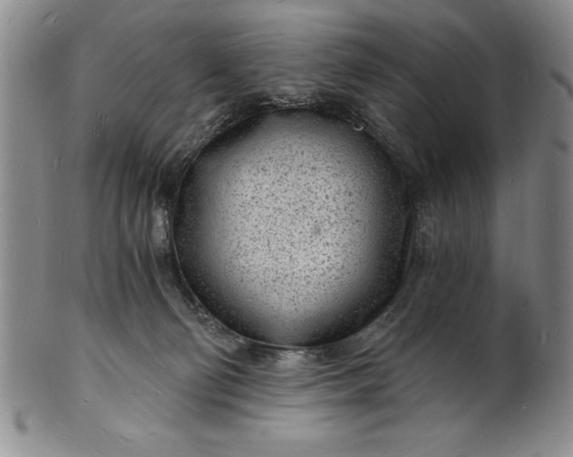 X0000102220130200808081325