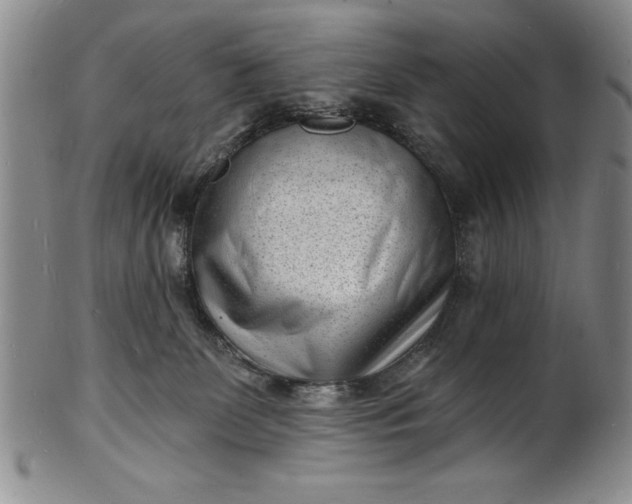 X0000102220131200808081325