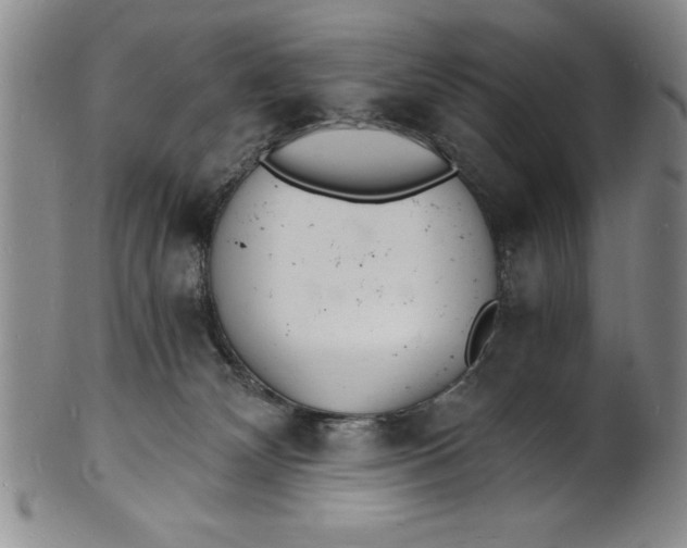 X0000102220132200808081325