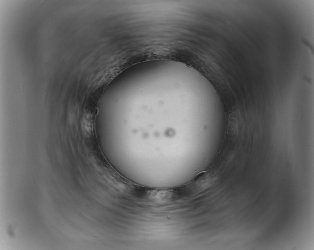 X0000102220135200808081325