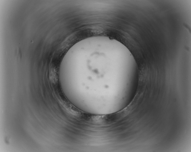 X0000102220136200808081325