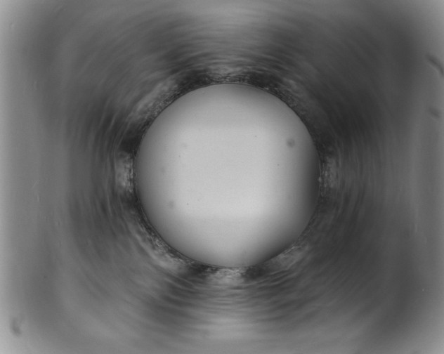 X0000102220138200808081325