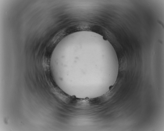 X0000102220140200808081325