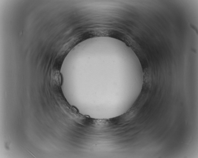 X0000102220141200808081325