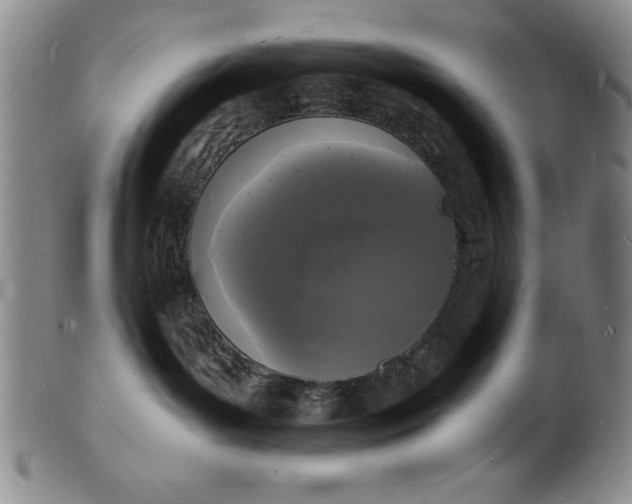 X0000102220143200808081325