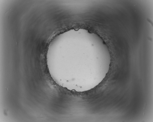 X0000102220144200808081325