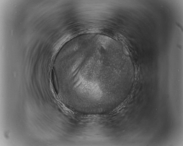 X0000102220145200808081324