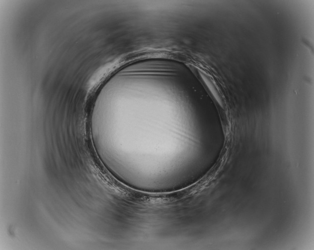 X0000102220149200808081324