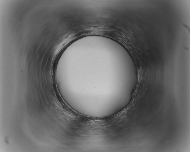 X0000102220150200808081324