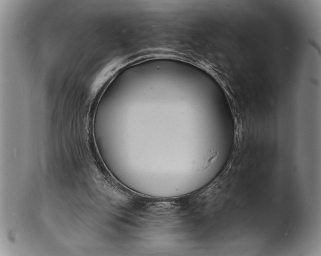 X0000102220151200808081324