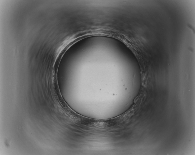 X0000102220152200808081324