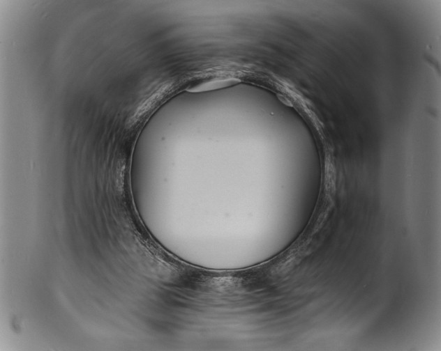 X0000102220153200808081324