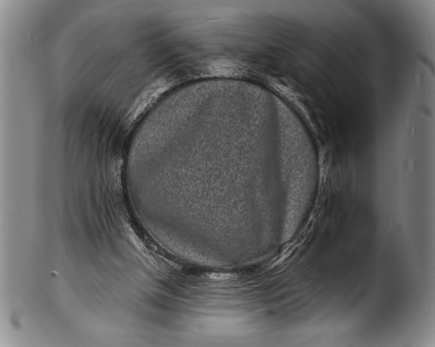 X0000102220154200808081324