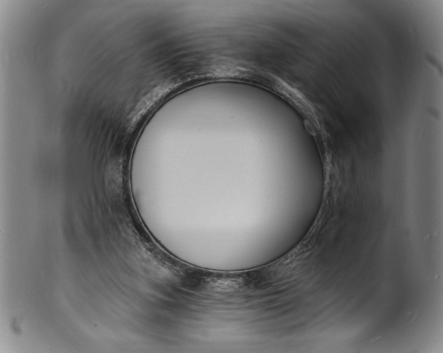 X0000102220155200808081324