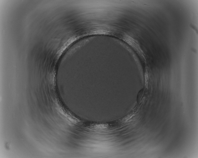 X0000102220156200808081324