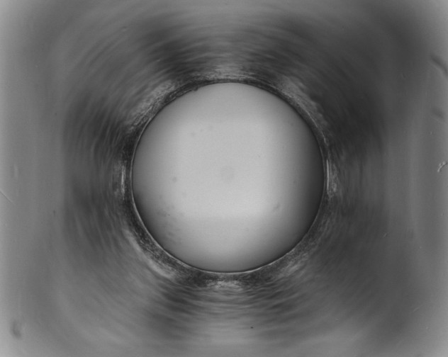 X0000102220157200808081324