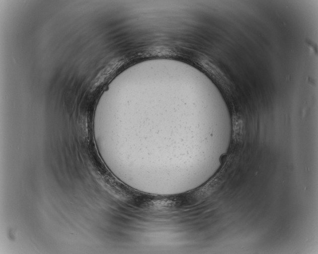 X0000102220158200808081324