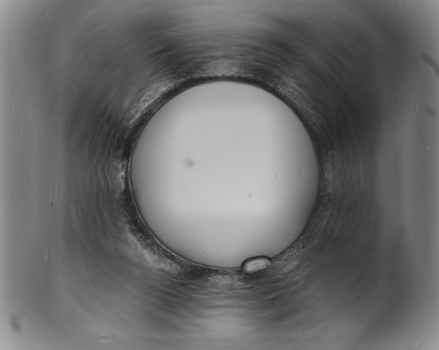 X0000102220160200808081324