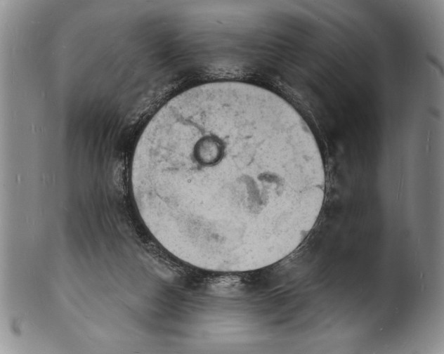 X0000102220162200808081324