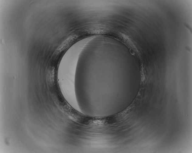 X0000102220163200808081324