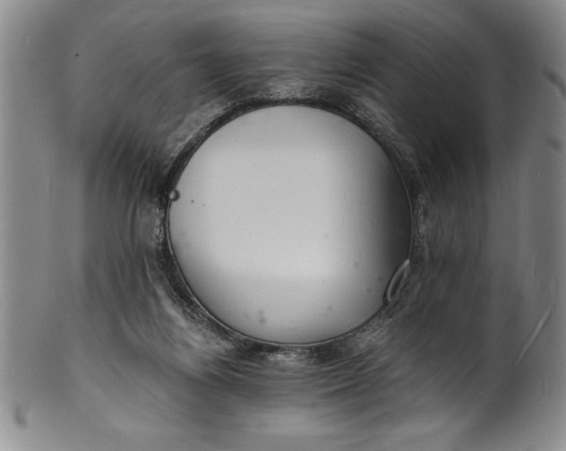 X0000102220164200808081324