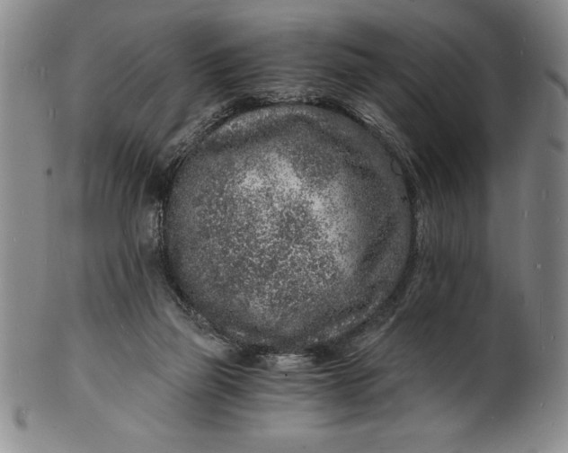 X0000102220165200808081324