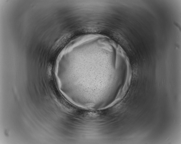 X0000102220166200808081324