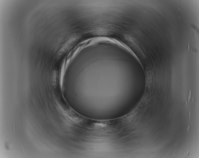 X0000102220167200808081324