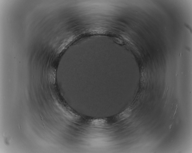 X0000102220168200808081324